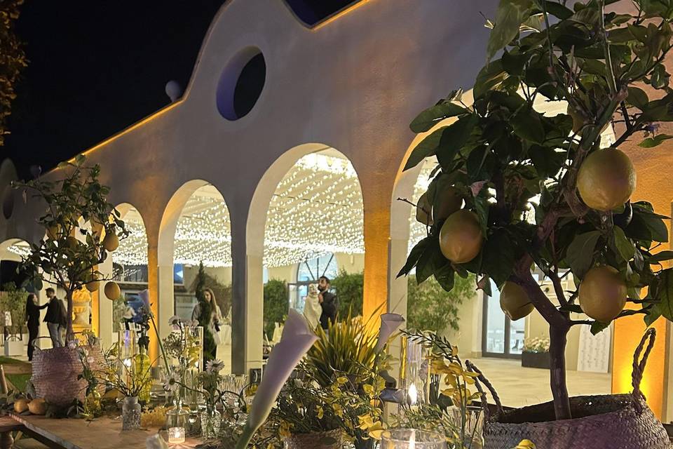 Allestimento limoni