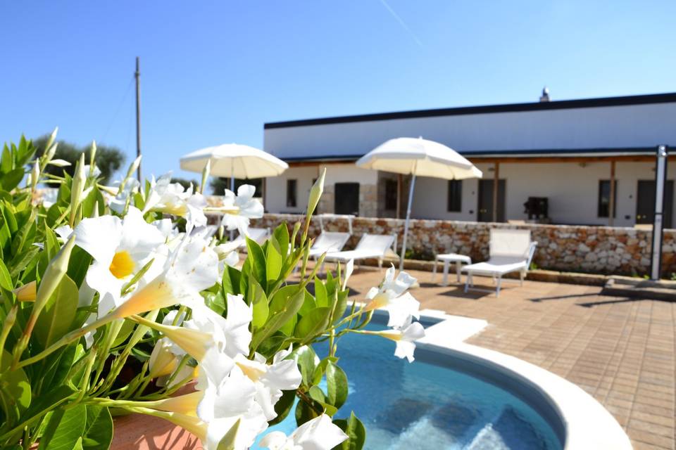 Agriturismo Masseria Alberotan