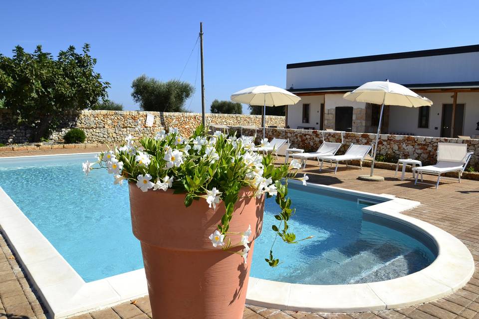 Agriturismo Masseria Alberotan
