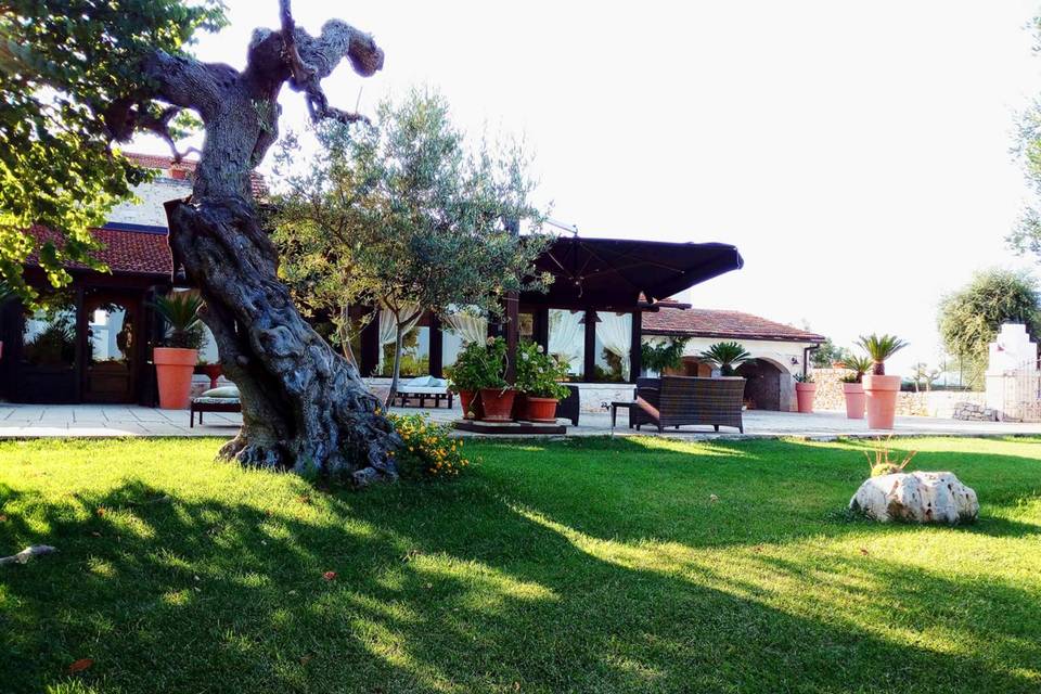 Agriturismo Masseria Alberotan