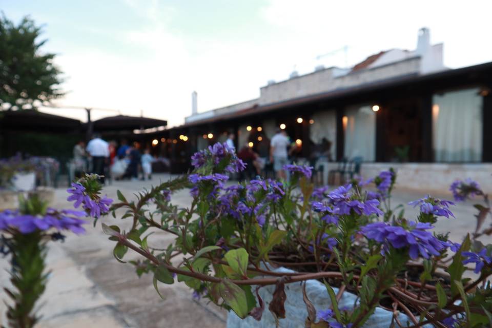 Agriturismo Masseria Alberotan