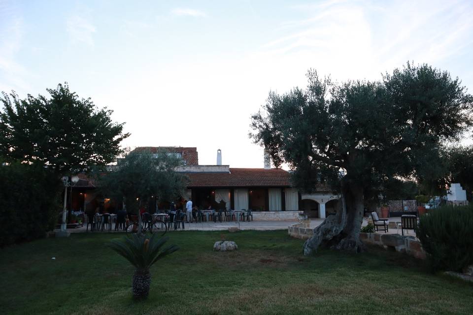 Agriturismo Masseria Alberotan