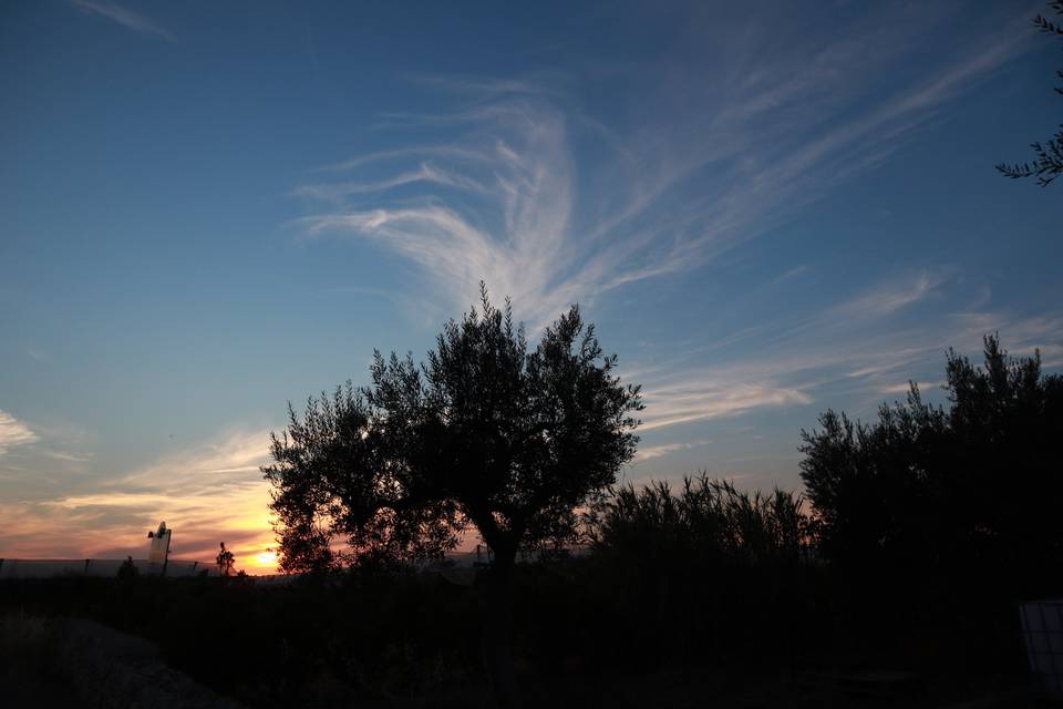 Agriturismo Masseria Alberotan