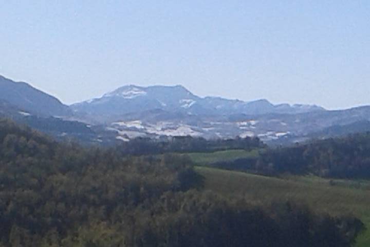 Azienda Agricola Cardinali