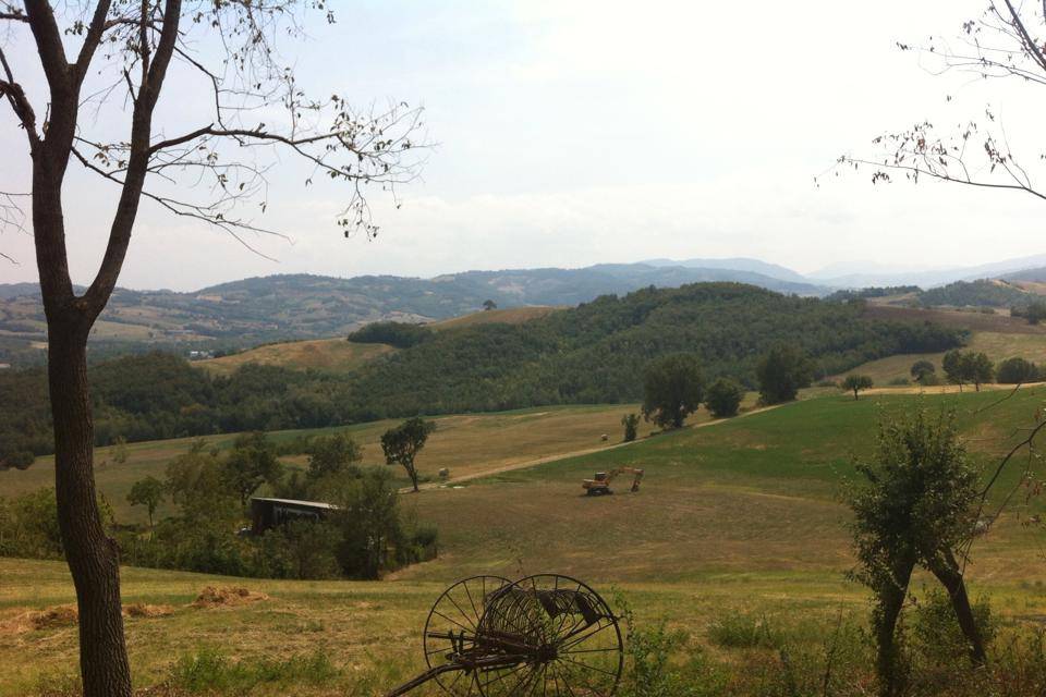 Azienda Agricola Cardinali