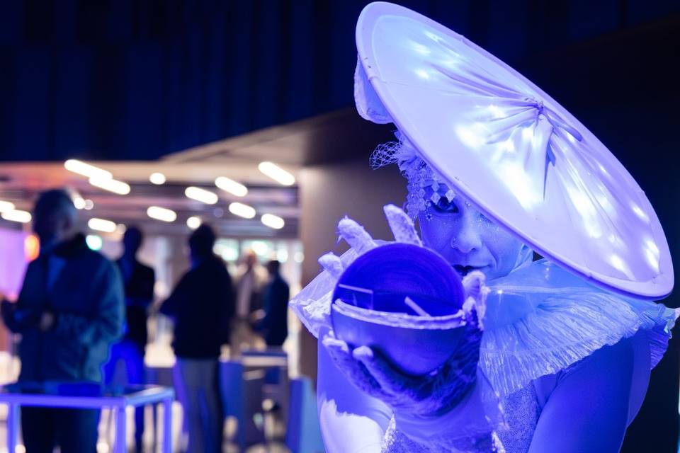 Spettacolo Luminoso Wedding