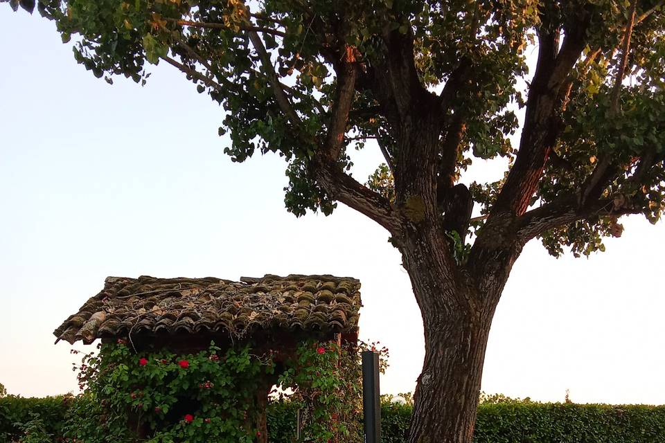 Postazione