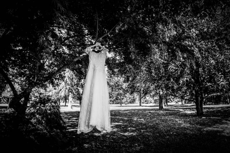 Fotografo Matrimonio Bergamo