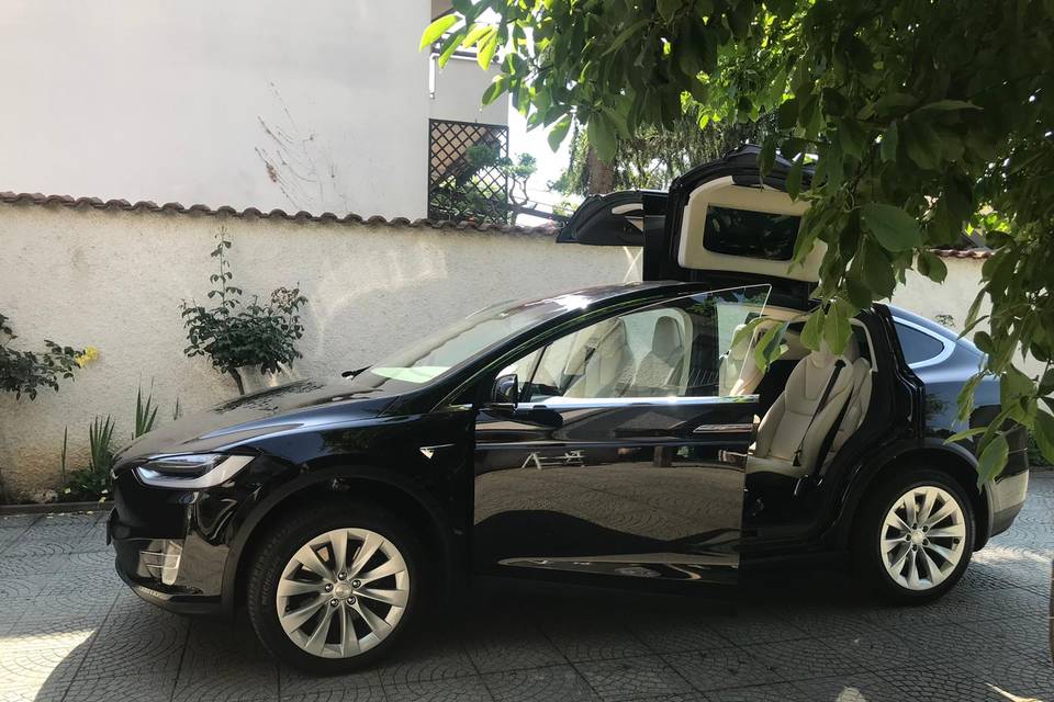 Tesla x