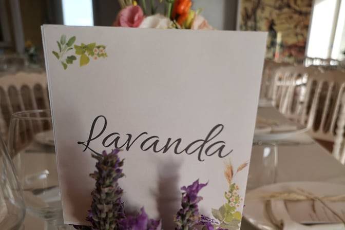 Carolina Spezzano Wedding Planner