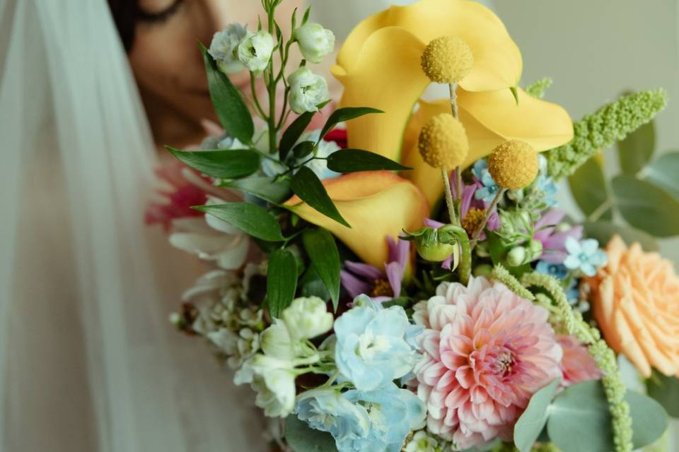 Il Bouquet delle meraviglie