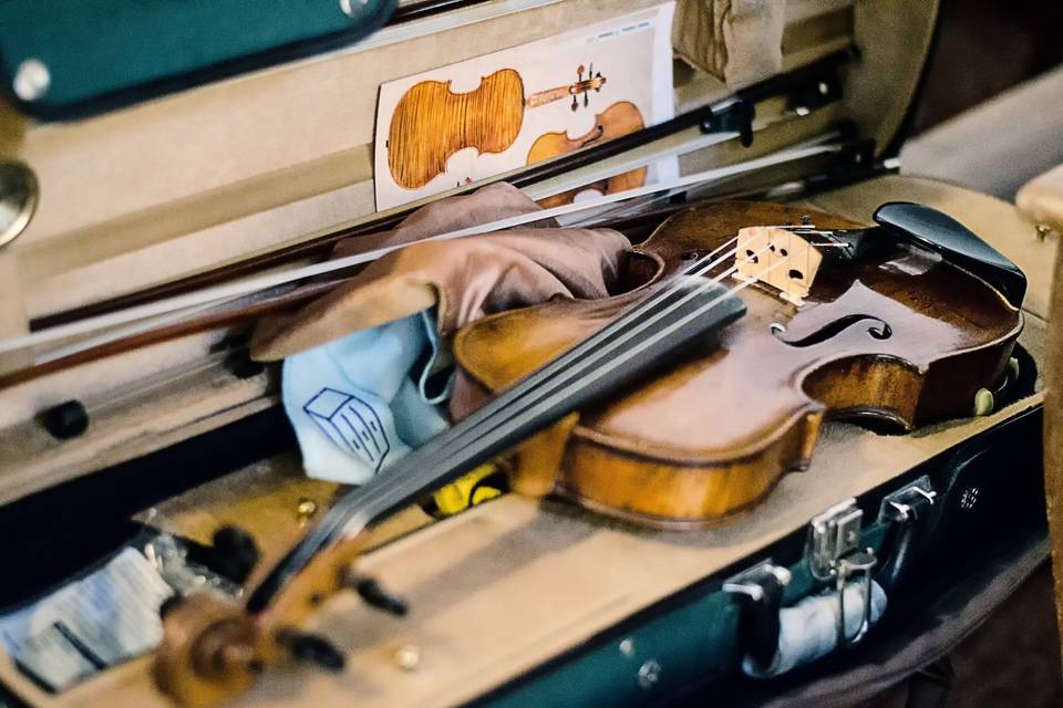 Violino