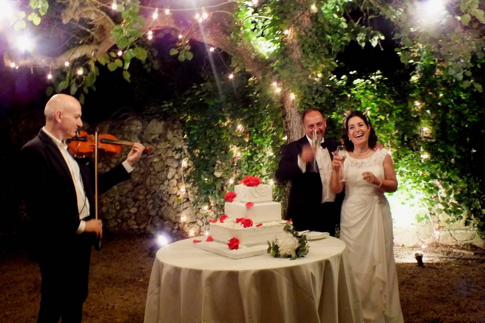 Violinista matrimonio Brindisi
