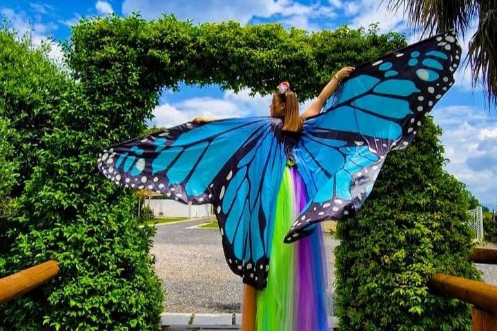 Trampoliere farfalla