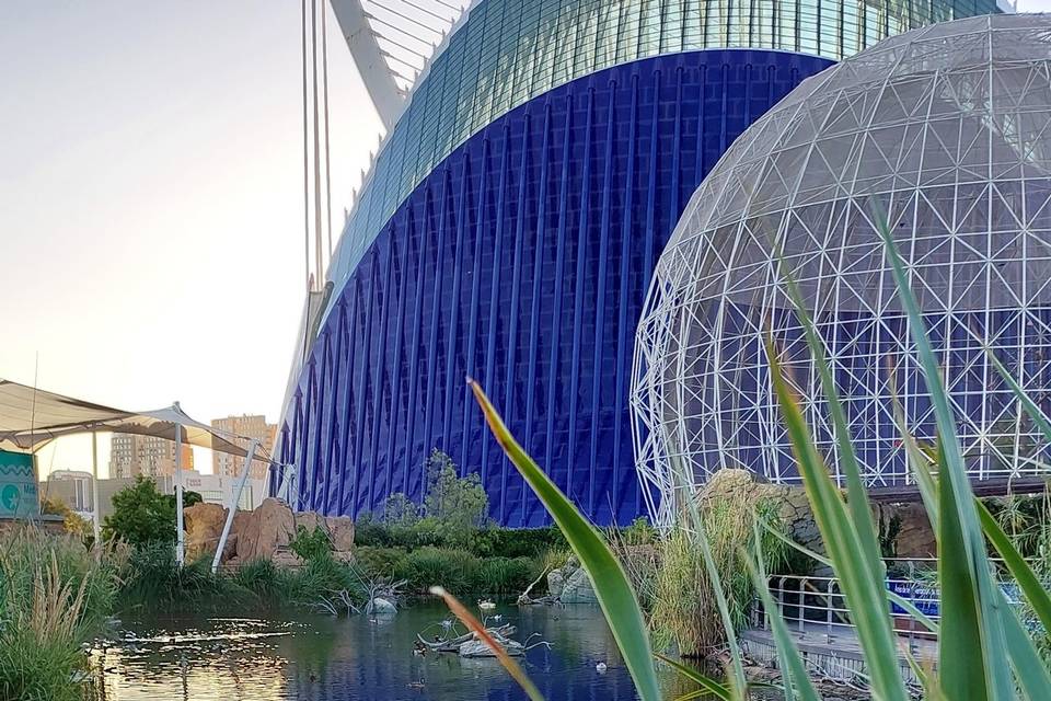 Oceanografico valencia