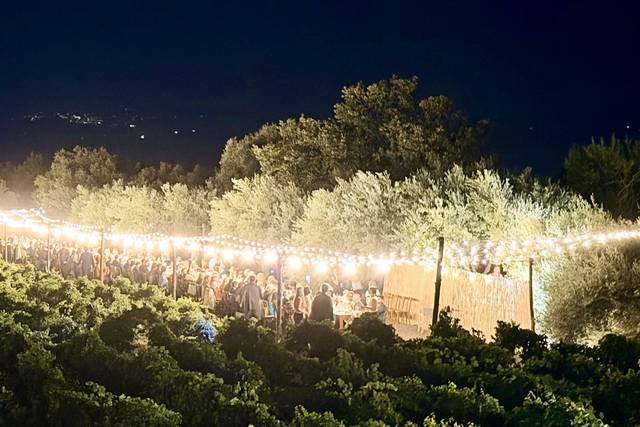 Catering vigneto