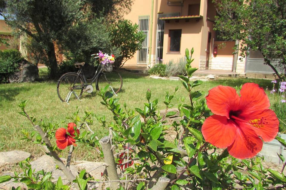 Angolo giardino