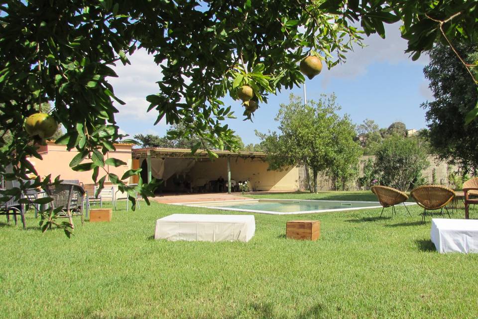 Giardino di giorno