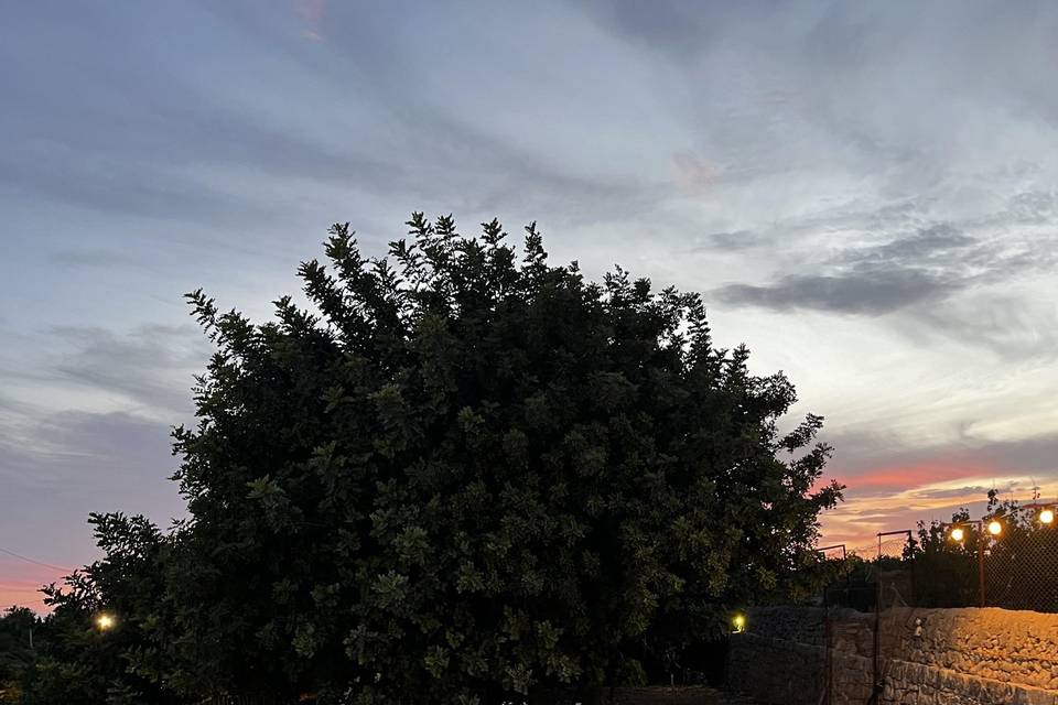 Casale Allibrio