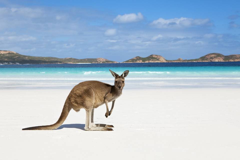 AUSTRALIA..il Sogno di Tutti