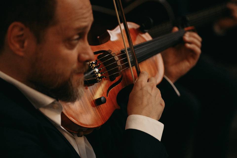 Violino