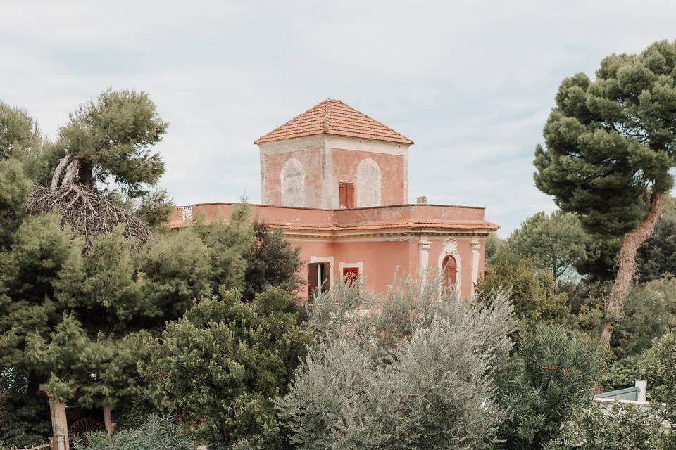 Carta Salata Studio