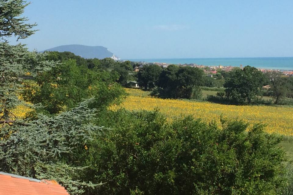 Vista del Conero di giorno