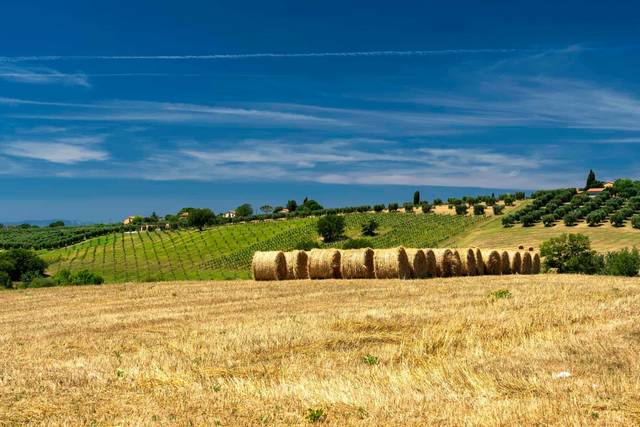 Agriturismo Il Raduno