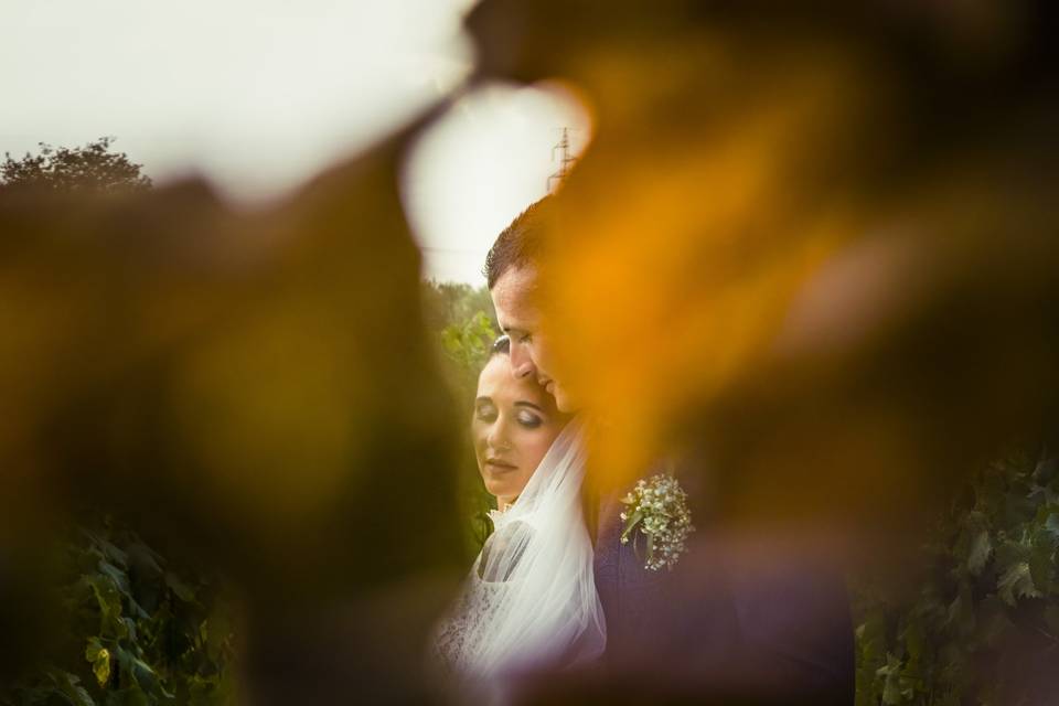 Matrimonio-Liguria