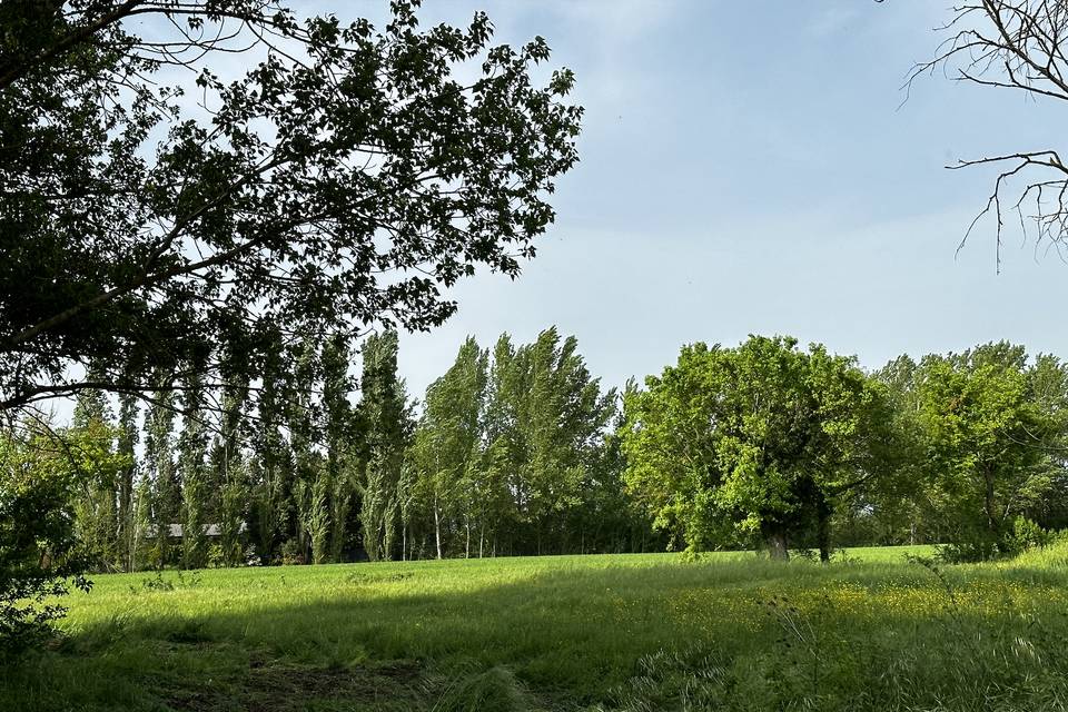 Il Podere degli Olmi