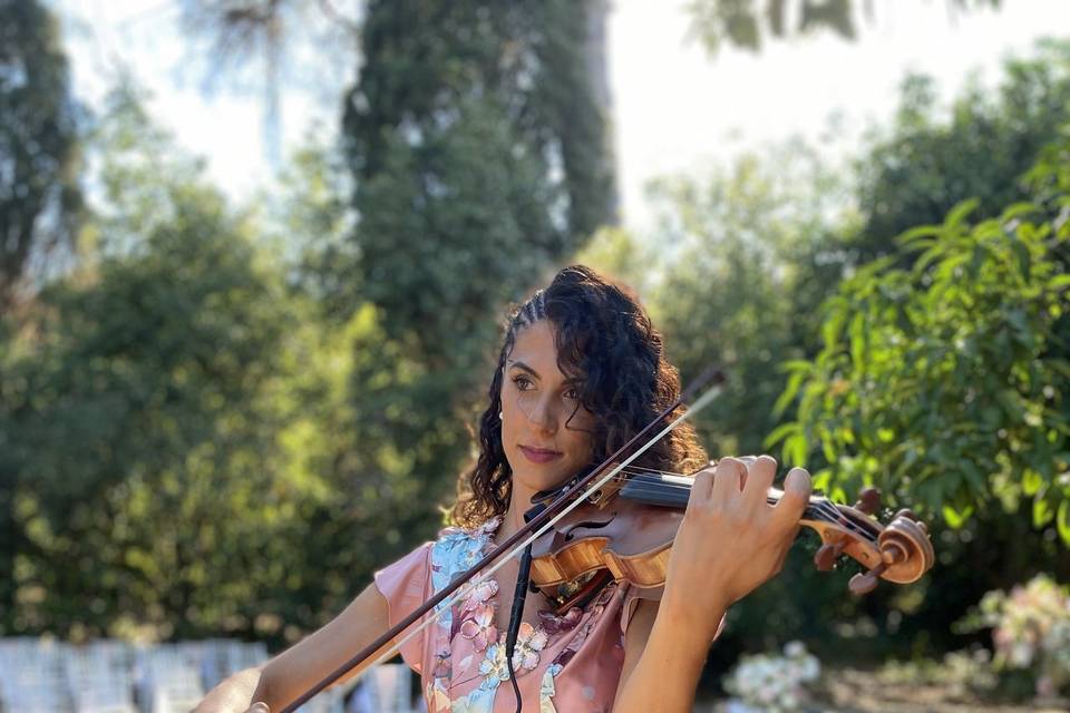 Violin Theater