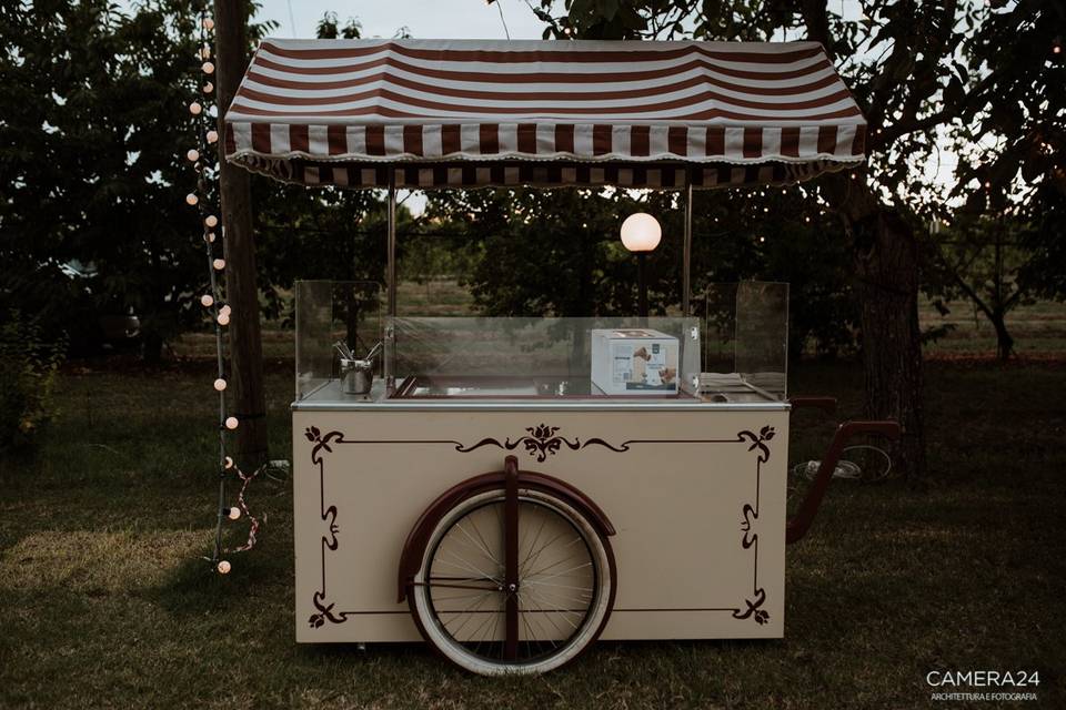 Excelsius Catering