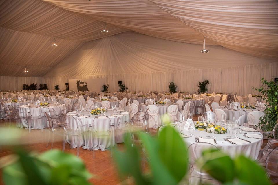 Excelsius Catering