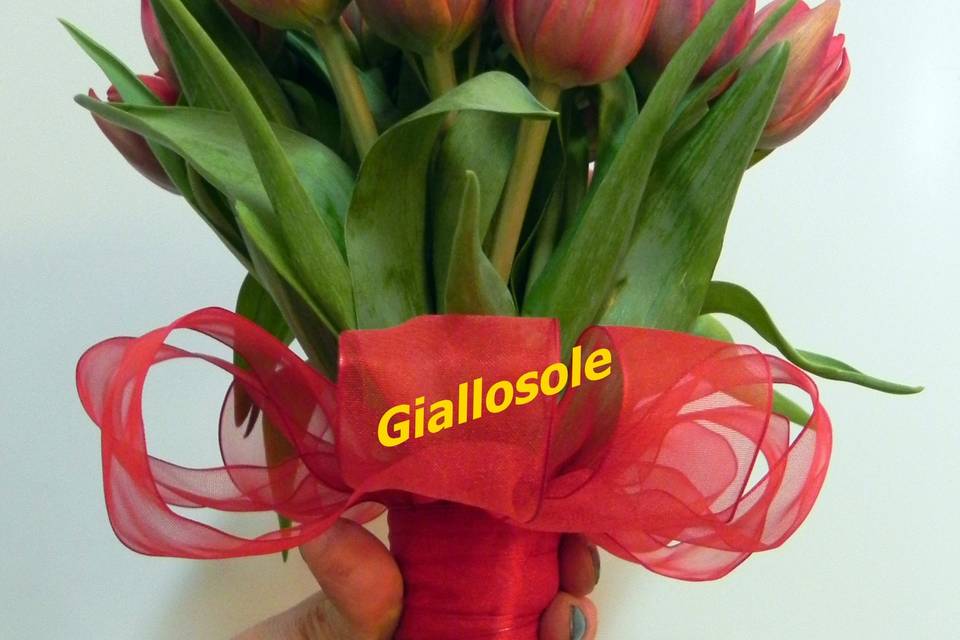 Giallosole