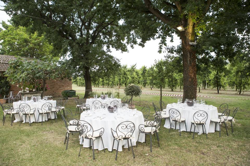 Excelsius Catering