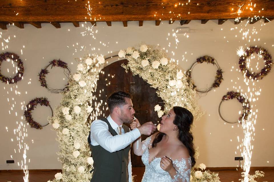 Wedding Cake toast