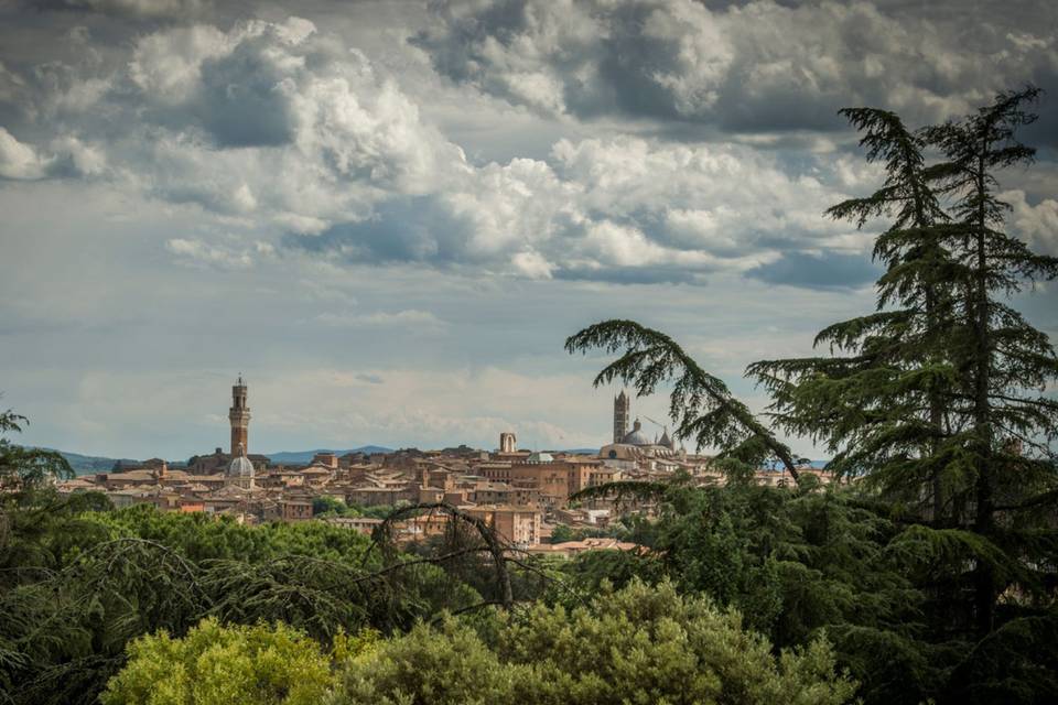 Villa Scacciapensieri