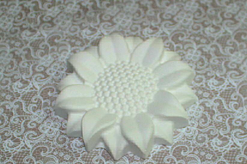 Girasole di Gesso