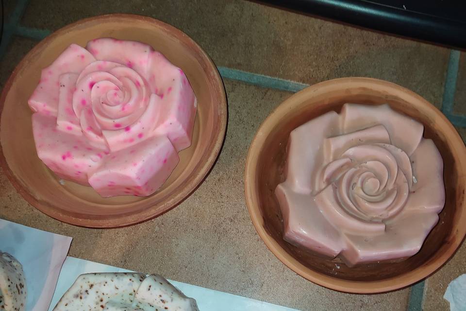 Rose con cocci terracotta