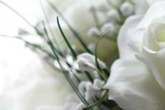 Composizione floreale