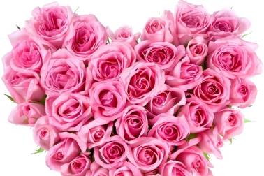 Cuore di Rose