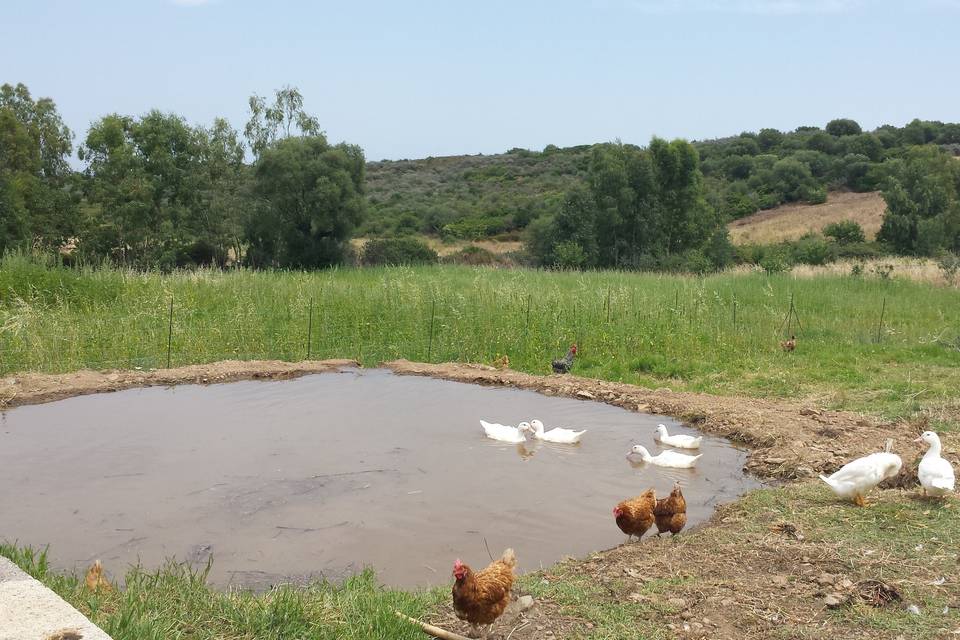 Agriturismo Guparza