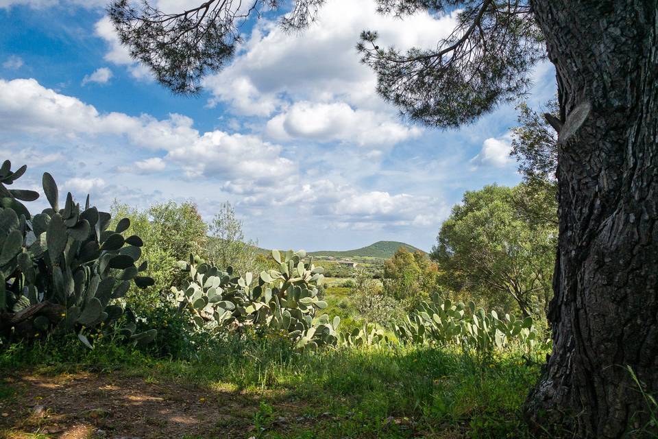 Vista campagna