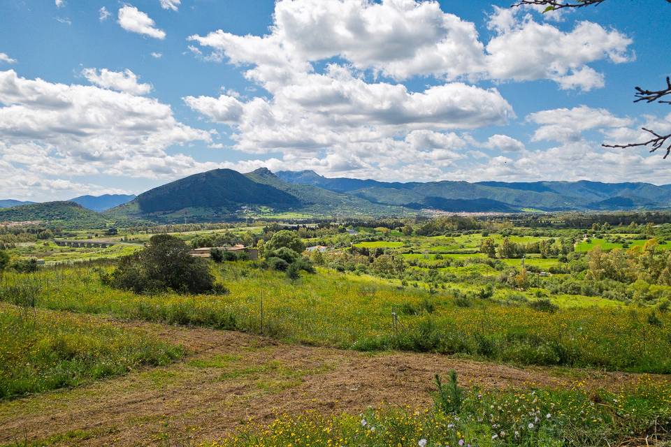 Vista campagna