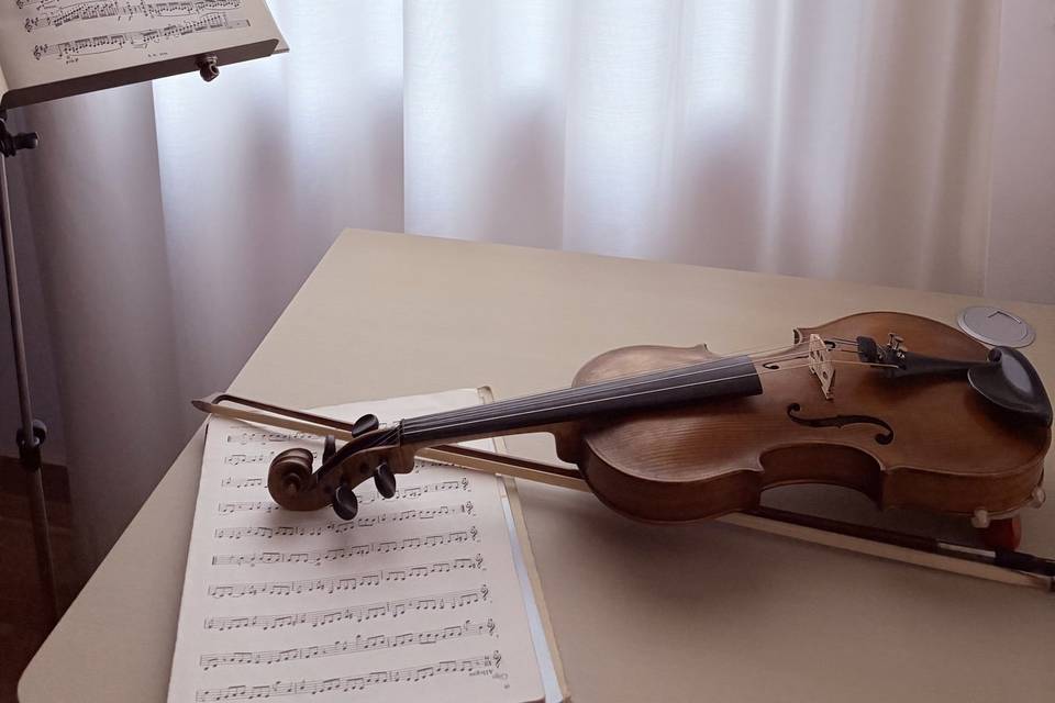 Il violino