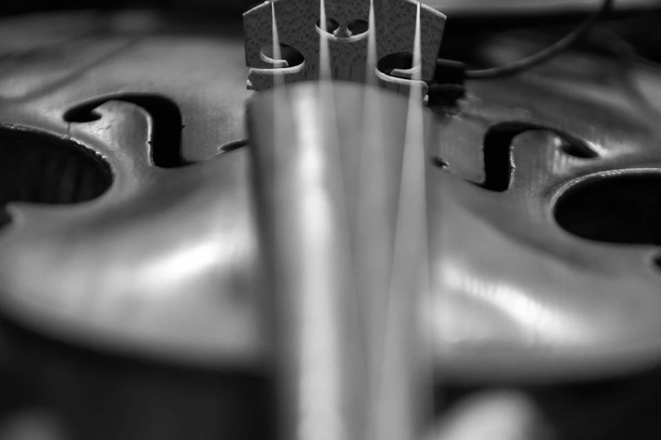 Violino