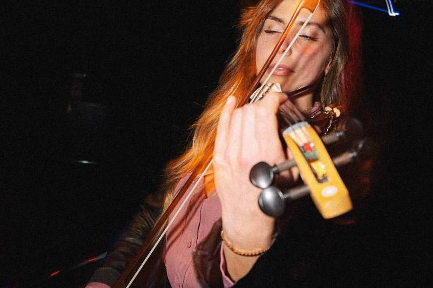 Duo- electric Violin