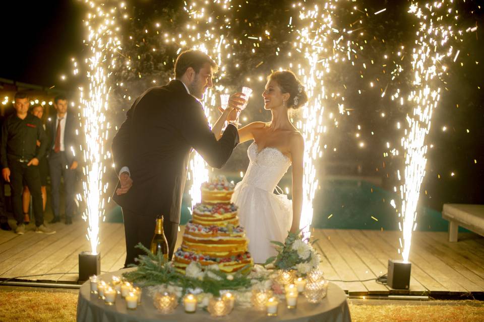 Cutting the wedding cake