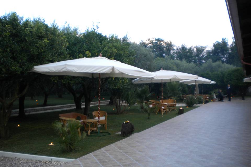 Agriturismo luna di ulivo