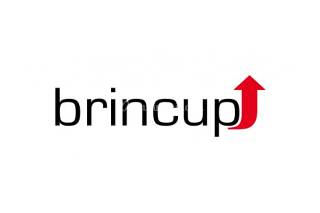Brincup logo